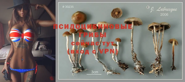 мет Надым