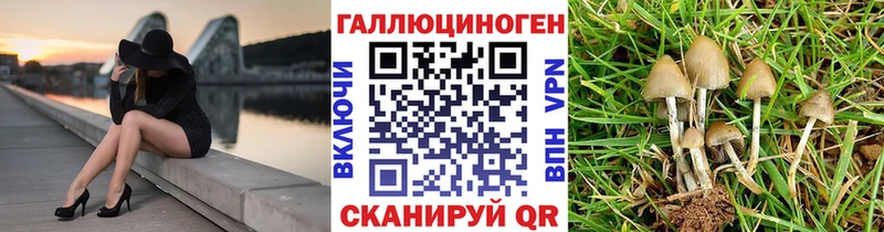 Купить где Мосальск Псилоцибиновые грибы прущие грибы
